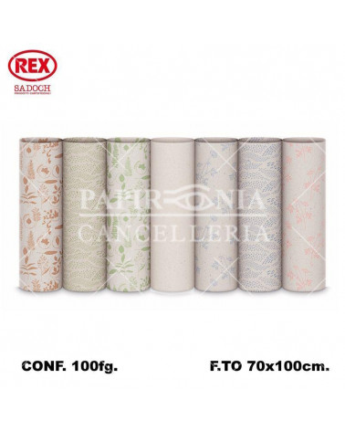 REX CARTA REGALO ERBA 100fg.EB400
