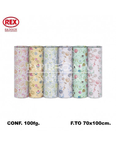REX CARTA REGALO ECOCARTA 100fg.EC400F02