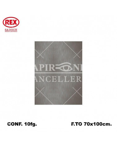 REX CARTA REGALO UNICOLORE 10FG. ARGENTO 803
