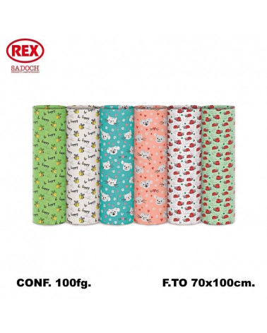 REX CARTA REGALO ECOCARTA 100fg.EC400A02