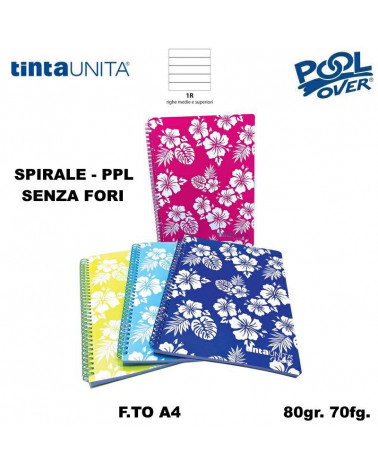 TINTA UNITA VINTAGE MAXI SPIR.NO FORI 80FG.1R
