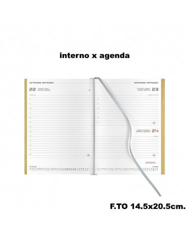 INTERNO X AGENDA GIORNALIERA S/D 14,5X20,5 TAGLIO ORO CARTONATO