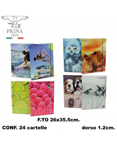PIGNA CARTELLA CON ELASTICO 24PZ. D.1,2