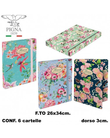 PIGNA CARTELLA CON ELASTICO A4 DORSO 3 NATURE [6PZ]