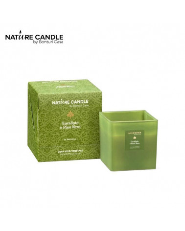 BONTURI CANDELA LE PREZIOSE 90G. EUCALIPTO E PINO NERO