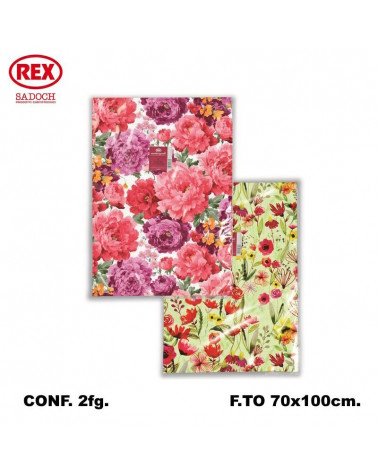 REX CARTA REGALO GENERICA 2FG. R5502