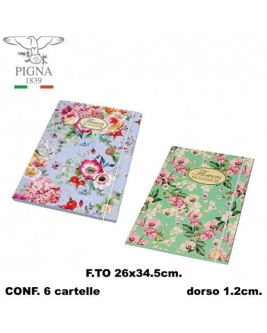 PIGNA CARTELLA CON ELASTICO A4 D.1,2 NATURE [6PZ]