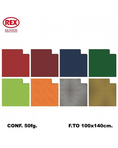 REX CARTA REGALO BIG 50FG.ASSORTITA