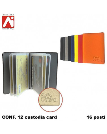 ALPLAST CUSTODIA CARD A LIBRO 201 [12PZ]