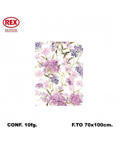 REX CARTA REGALO RASO 10FG. 072D